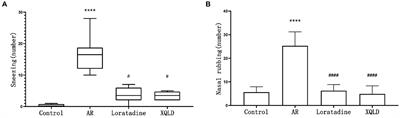 Xiaoqinglong decoction mitigates nasal inflammation and modulates gut microbiota in allergic rhinitis mice